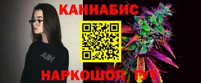 прущие грибы Лесосибирск