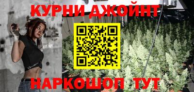 прущие грибы Лесосибирск