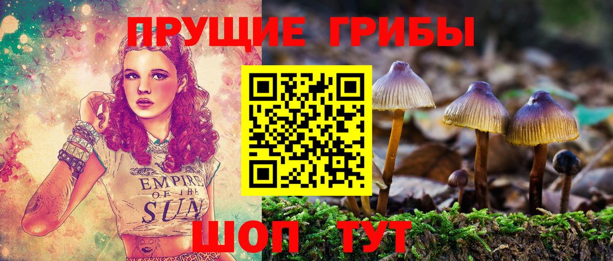 Галлюциногенные грибы Psilocybe  Галлюциногенные грибы мицелий  Вход с VPN  Заволжье 