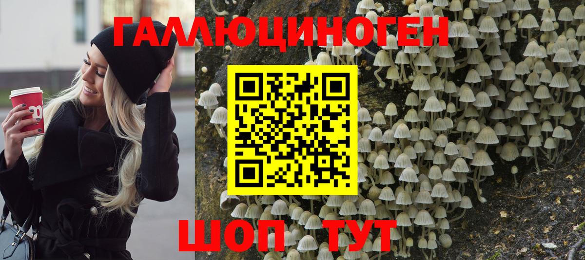 Галлюциногенные грибы GOLDEN TEACHER Заволжье